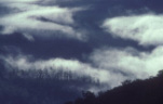 Atmosphere, Meteorology, climate, weather, cloud, clouds, sky, skies, sky scenes, National Park, National Parks, Dorrigo, dorrigo national park, nsw, new South Wales, australia, National Park, National Parks.