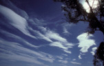 Australia, Atmosphere, Meteorology, climate, weather, cloud, clouds, sky, skies, sky scenes, blue sky, blue skies, sky, skies, Qld, Queensland.