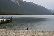 New images, new zealand, nz, south island, nelson, nelson lakes, lake, lakes, water.
