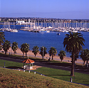 Australia, Victoria, Geelong, Marinas, Moored Yachts, Palms trees, Coastal images, Water scenes