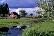 Canada, british columbia, langsley, fort, forts, langsley, fort langsley, rural, rural scene, rural scenes, barn, barns, horse, horses, fence, fences, cloud, clouds, water, RW59,