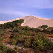 Australian deserts, Sand dunes, Outback Australia, Sleaford Bay, Port Lincoln, South Australia