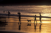 Australia, New South Wales, Port Macquarie, river, rivers, Hastings river, water, sunset, sunsets, sunrises and sunsets, mood, sand, Mood scene, mood scenes, water, people, surfer, surfers, surfing, dog, dogs, domestic, seashore, seashores, shoreline, shorelines, s.