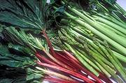 Vegetable, vegetables, mixed, mixed vegetables, celery, asparagus, rhubarb.