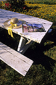 Garden, gardens, furniture, garden furniture, outdoor furniture, table, tables, chair, chairs, magazine, paper, magazines, picnic, picnics, table, tables, brochure, brochures, travel brochure, travel brochures, RW59,