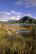 Canada, alberta, lake, lakes, vermillon lake, vermillon lakes, autumn, autumn foliage, tree, trees, rundle, mt rundle, mount rundle, RW59,