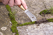 People gardening, garden, gardens, gardening, weed, weeds, weeding, paver, pavers, paving.