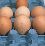 Bird, birds, chicken, chickens, hen, hens, egg, eggs, brown, brown egg, brown eggs, carton, cartons, packaging, stamp, stamps, date stamp, date stamps, paper, cardboard.