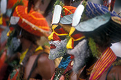 New guinea, papua new guinea, mount hagen, mt hagen, mount hagen show, mt hagen show, ceremony, ceremonies, people, performer, performers, face paint, face paints, face painting, body paint, bodypaint, tribe, tribes, tribal.