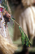 New guinea, papua new guinea, mount hagen, mt hagen, mount hagen show, mt hagen show, ceremony, ceremonies, people, performer, performers, tribe, tribes, tribal.