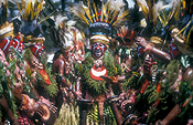 New guinea, papua new guinea, mount hagen, mt hagen, mount hagen show, mt hagen show, ceremony, ceremonies, man, men, male, males, hat, hats, jewellery, necklace, necklaces, people, performer, performers, face paint, face paints, face painting, body paint, bodypaint, tribe, tribes, tribal, feather, feathers.