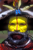 New guinea, papua new guinea, mount hagen, mt hagen, mount hagen show, mt hagen show, ceremony, ceremonies, man, men, male, males, feather, feathers, hat, hats, jewellery, necklace, necklaces, people, performer, performers, face paint, face paints, face painting, body paint, bodypaint, tribe, tribes, tribal, beard, beards, butterfly, butterflies.