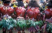 New guinea, papua new guinea, mount hagen, mt hagen, mount hagen show, mt hagen show, ceremony, ceremonies, man, men, male, males, jewellery, necklace, necklaces, people, performer, performers.