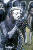 New guinea, papua new guinea, mount hagen, mt hagen, mount hagen show, mt hagen show, ceremony, ceremonies, man, men, male, males, people, performer, performers, mask, masks, body paint, bodypaint, tribe, tribes, tribal, reptile, reptiles, snake, snakes.