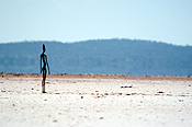 Australia, wa, western australia, art, sculpture, sculptures, statue, statues, gormley, antony gormley, festival, festivals, art festival, art festivals, lake, lakes, ballard, lake ballard, salt, salt lake, salt lakes, outback, australian outback, outback australia, figure, figures, menzies.