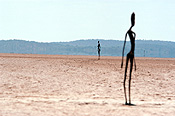Australia, wa, western australia, art, sculpture, sculptures, statue, statues, gormley, antony gormley, festival, festivals, art festival, art festivals, lake, lakes, ballard, lake ballard, salt, salt lake, salt lakes, outback, australian outback, outback australia, figure, figures, menzies.