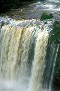 Australia, New South Wales, dorrigo, dorrigo np, dorrigo national park, dangar falls, great dividing range, dangars falls, dangar waterfall, National Park, National Parks, dangar water fall, waterfall, waterfalls, running water, LM19,