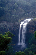 Australia, New South Wales, forest, forests, tree, trees, ebor, ebor falls, waterfall, waterfalls, guy fawkes, guy fawkes np, guy fawkes national park, national park, national parks, running water, LM19,