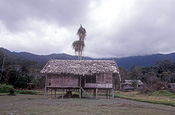 New guinea, papua new guinea, central province, myola, hut, huts, house, houses, housing, kokoda trail.