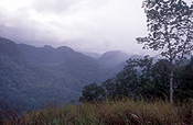New guinea, papua new guinea, owen stanley range, central province.
