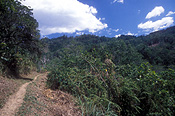 New guinea, papua new guinea, owen stanley, owen stanley range, central province.