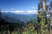 New guinea, papua new guinea, owen stanley, owen stanley range, central province.