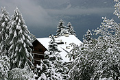 Europe, switzerland, swiss, alps, swiss alps, mountain, mountains, villars, chalet, chalets, resort, resorts, snow, snow scene, snow scenes, winter, winter scene, winter scenes, cold, christmas tree, christmas trees. PH44,