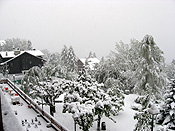 Europe, switzerland, swiss, alps, swiss alps, mountain, mountains, villars, chalet, chalets, resort, resorts, snow, snow scene, snow scenes, winter, winter scene, winter scenes, cold, christmas tree, christmas trees. PH44,