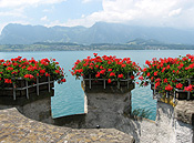 Europe, switzerland, swiss, garden, gardens, schloss oberhofen, oberhofen, schloss park, lake, lakes, thun, lake thun, alps, swiss alps, box, boxes, geranium, geraniums, pot, pots, potted, garden pot, garden pots, outdoor pot, outdoor pots.
