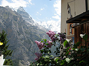 Europe, switzerland, swiss, alps, swiss alps, bernese, oberland, bernese oberland, valley, valleys, mountain, mountains, lauterbrunnen, lauterbrunnen valley, glacial, glacial valley, glacial valleys, murren, lilac, syringa.