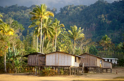 GRASS HUTS, MENARI, CENTRAL PROVINCE, PAPUA NEW GUINEA