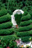 Topiary, Chilliwack, Canada, Minter garden, Minter Gardens.