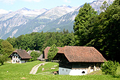 Europe, Switzerland, Swiss, Ballenberg, Ballenberg Museum, Swiss Open Air Museum, Switzerlands Farm Museum, roof, roofs, rooves, Museum, Museums, field, fields, chalet, chalts, house, houses, housing, architecture, tree, trees, mountain, mountains, alp, alps, swiss alps, snow, snow scene, snow scenes, winter, cold.