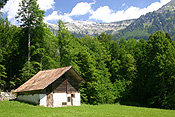 Europe, Switzerland, Swiss, Ballenberg, Ballenberg Museum, Swiss Open Air Museum, Switzerlands Farm Museum, Museum, Museums, field, fields, shed, sheds, tree, trees, mountain, mountains, alp, alps, swiss alps.