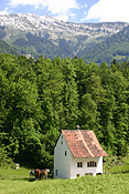 Europe, Switzerland, Swiss, Ballenberg, Ballenberg Museum, Swiss Open Air Museum, Switzerlands Farm Museum, Museum, Museums, roof, roofs, rooves, architecture, house, houses, housing.
