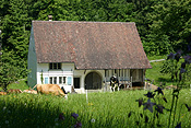 Europe, Switzerland, Swiss, Ballenberg, Ballenberg Museum, Swiss Open Air Museum, Switzerlands Farm Museum, Museum, Museums, roof, roofs, rooves, architecture, house, houses, housing.