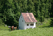 Europe, Switzerland, Swiss, Ballenberg, Ballenberg Museum, Swiss Open Air Museum, Switzerlands Farm Museum, Museum, Museums, roof, roofs, rooves, Europe, Switzerland, Swiss, Ballenberg, Ballenberg Museum, Swiss Open Air Museum, Switzerlands Farm Museum, Museum, Museums, architecture, house, houses, housing, horse, horses.