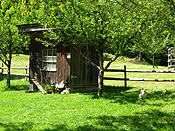 Europe, Switzerland, Swiss, Ballenberg, Ballenberg Museum, Swiss Open Air Museum, Switzerlands Farm Museum, Museum, Museums, chicken, chickens, hen, hens, hen house, hen houses, chicken house, chicken houses, fence, fences, tree, trees.