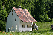 Europe, Switzerland, Swiss, Ballenberg, Ballenberg Museum, Swiss Open Air Museum, Switzerlands Farm Museum, Museum, Museums, roof, roofs, rooves, architecture, house, houses, housing, horse, horses, pony, ponies.