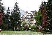 Europe, Switzerland, Swiss, Gstaad, architecture, hotel, hotels, tree, trees, snow, snow scene, snow scenes, winter.