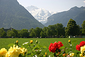 Europe, Switzerland, Swiss, Interlaken, alp, alps, mountain, mountains, swiss alps, snow, snow scene, snow scenes, winter, cold.