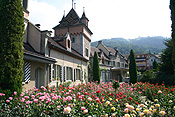 Europe, Switzerland, Swiss, Oberhofen, oberhofen am thunersee, lake, lakes, thun, lake thun, oberhofen schloss, schloss, schloss oberhofen, castle, castles, architecture, museum, museums, garden, gardens.