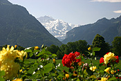 Europe, Switzerland, Swiss, Interlaken, mountain, mountains, alp, alps, swiss alps, snow, snow scene, snow scenes, winter, cold.