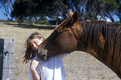 People, child, children, puberty, Australia, people, child, children, puberty, outdoors, fence, fences, animal, animals, horse, horses, people and animals, children and animals, people with animals, children with animals, mammal, mammals, australia, new South Wales, nsw, child, children, teenager, teenagers, teenage girl, teenage girls, girl, girls, female, females, outdoors, brown, brown horse, brown horses.