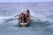 Australia, New South Wales, life saving, life saving, surf life saving, life saver, life savers, life saver, life savers, safety, people.