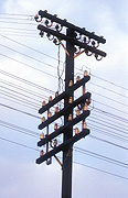 Pole, poles, utility pole, utility poles, telephone pole, telephone poles, power pole, power poles, power line, power lines, communicate, communicating, telephone, telephones, communication, electricity pole, electricity poles, telegraph pole, telegraph poles, telegraph line, telegraph lines.