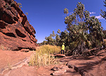 Australia, Australian, Australian desert, Australian deserts, NT, Northern Territory, Desert, deserts, desert scenes, geological formation, geological formations, palm valley, cliff, cliffs, outback, australian outback, outback australia.