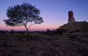 Australia, Australian, Australian desert, Australian deserts, NT, Northern Territory, Desert, deserts, desert scenes, simpson, simpson desert, chambers pillar, pillar, pillars, rock, rocks, chamber's pillar, geological formation, geological formations, rock, rocks, sandstone, sandstone column, sandstone columns, column, columns, tree, trees, Mood, mood scene, mood scenes, pillar, pillars, outcrop, outcrops, rocky outcrop, rocky outcrops, outback, australian outback, outback australia, tree, trees, sunset, sunsets, sunrises and sunsets, mood, mood scene, mood scenes.