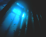 Australia, sa, south australia, rapid bay, jetty, underwater, underwater scene, underwater scenes, jetties, pier, piers, southern ocean, peninsula, peninsulas, pylon, pylons, JL21,