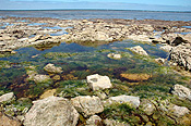 Australia, sa, south australia, pool, pools, tidal, tidal pool, tidal pools, tide, tides, low tide, bluff beach, beach, beaches, bluff, coast, coasts, coastline, coastlines, seaweed, shoreline, shorelines, seashore, seashores, rock, rocks, JL21,